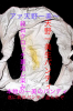 image.jpeg